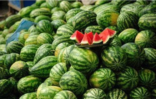 美国华人圈吃瓜视频,揭秘吃瓜视频背后的故事与影响