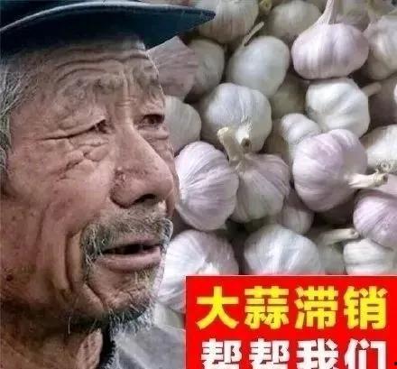 大爷吃瓜视频大全,笑料百出，欢乐无限