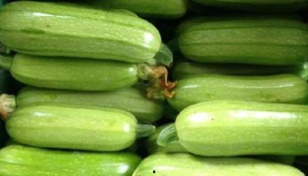 西葫瓜的做法怎么吃视频,跟着视频学做家常佳肴