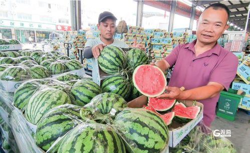 合肥本地吃瓜事件视频最新,揭秘网络热议背后的真相