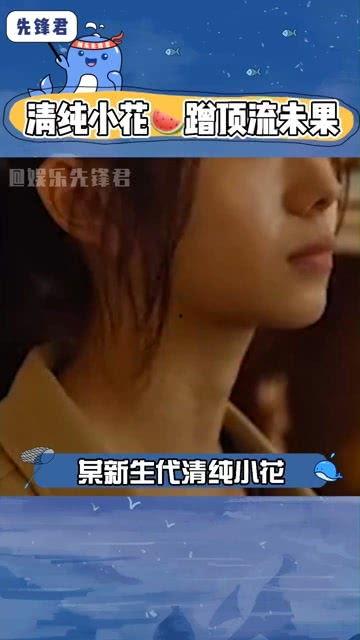 情感八卦吃瓜视频大全,揭秘明星幕后情感风云