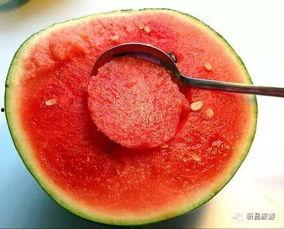 吃瓜原视频哪里看,轻松获取热门内容！