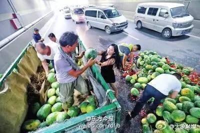 瓜农翻车吃瓜跳桥原视频,视频引发网友热议