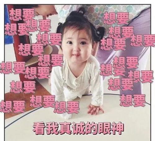 安琪拉海底捞视频吃瓜,一场美食与娱乐的盛宴