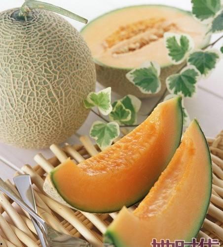 大鹅吃哈密瓜吗会死吗视频,揭秘生死之谜