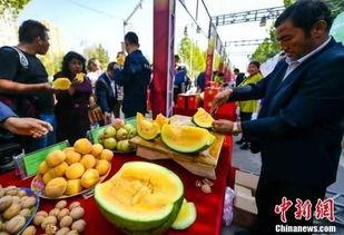 吴川吃瓜最新视频,揭秘幕后故事，笑料连连