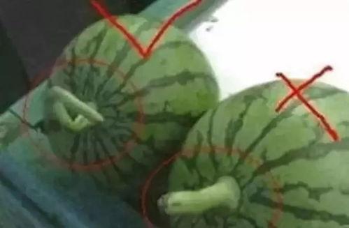 吃瓜视频高空漂浮怎么做,吃瓜视频中的神秘现象