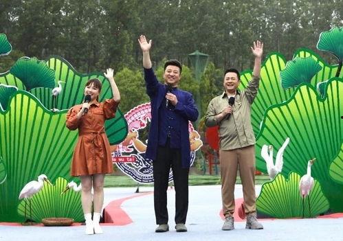 南阳最近吃瓜事件视频,一场网络热议背后的真相揭秘