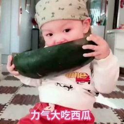 我是吃瓜的小视频,网络热传背后的故事  第2张