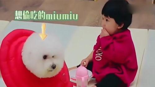 剪头发吃瓜视频是什么梗,揭秘网络热梗背后的故事  第3张