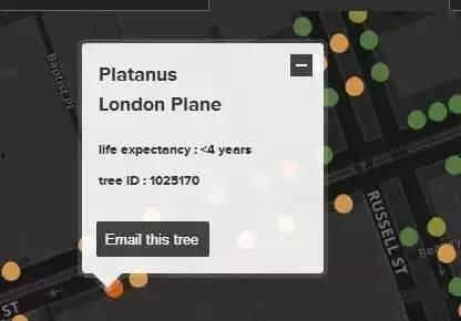 一棵树吃瓜视频大全,趣味盎然的自然奇观集锦  第2张