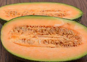 哈密瓜可以喂羊吃吗视频,营养美味两不误  第2张