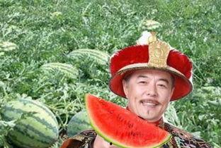 瓜农翻车路上吃瓜视频,这瓜太香了！  第2张