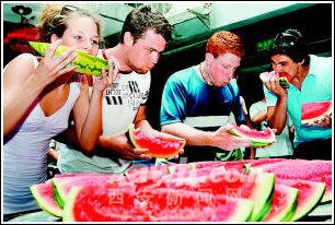 外国人的吃瓜视频,揭秘全球奇闻异事