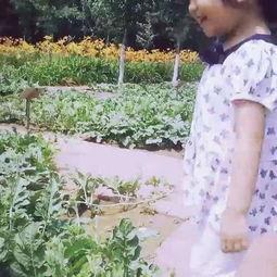 亲近自然吃瓜视频,畅享夏日吃瓜时光