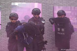 吃瓜吃到警察局的视频,一场意外的“瓜田”奇遇  第3张