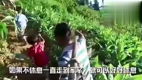 钦州京华吃瓜事件视频,一场引发热议的网络风波  第2张