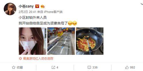 贤妻良母吃瓜视频播放,揭秘娱乐圈幕后故事  第3张