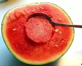 广州晚上吃瓜视频,一场别开生面的“吃瓜”盛宴