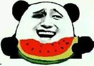 雅痞的吃瓜群众视频,揭秘娱乐圈幕后真相  第3张