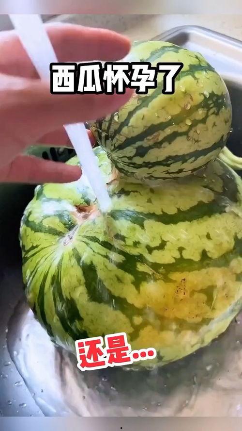 代理吃瓜搞笑视频,带你领略网络幽默魅力  第3张