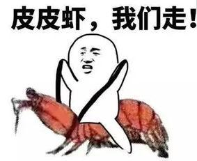 吃瓜套路视频,跟随视频一探究竟  第3张