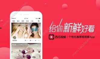 吃瓜网站的视频真实么,真实还是虚构？  第3张