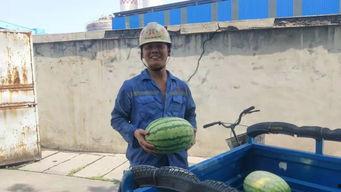 群众一路吃瓜视频,揭秘群众眼中的社会百态  第3张