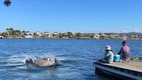 吃瓜吃到河畔里的视频,吃瓜群众意外发现神秘河畔现象  第2张
