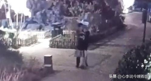 爆炸吃瓜视频,揭秘网络直播的狂欢与争议 第2张 爆炸吃瓜视频,揭秘网络直播的狂欢与争议 第2张