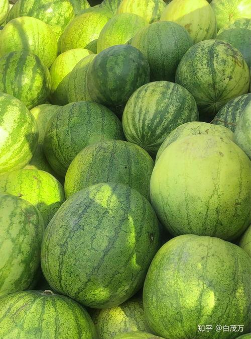 籽瓜不削皮可以吃吗视频  第3张