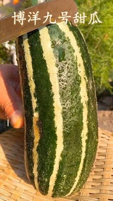 吃瓜视频没有赞了,点赞功能消失，瓜友热议